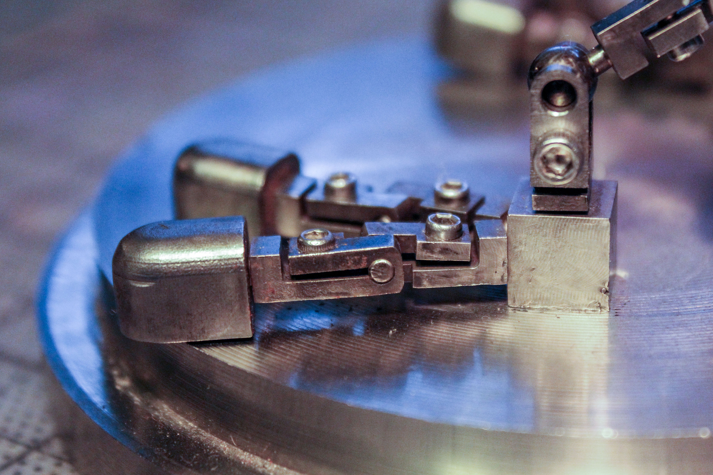 Close up of the Emur's foot