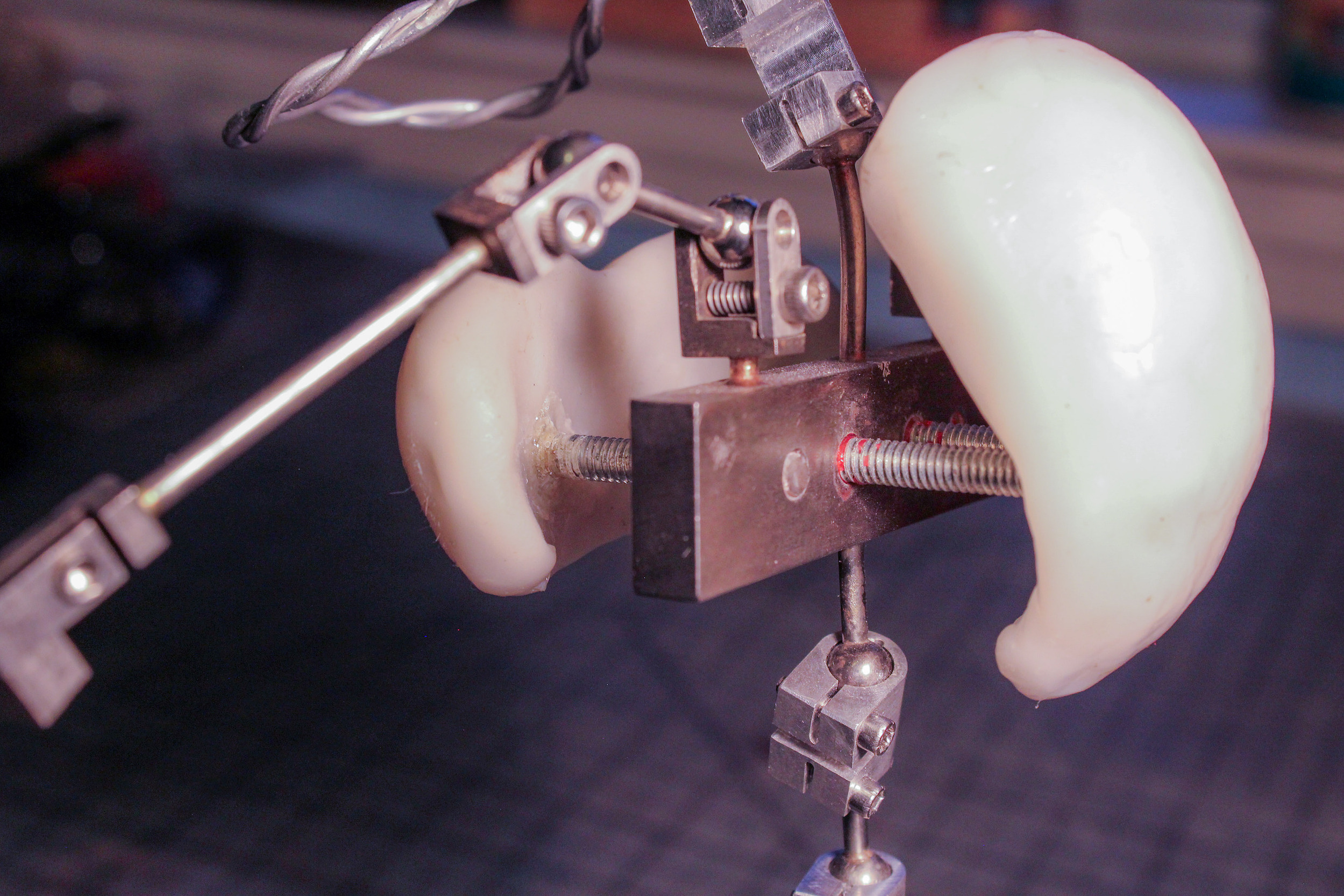 Torso with plastic grab points